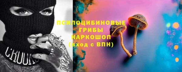 ГАЛЛЮЦИНОГЕННЫЕ ГРИБЫ Новодвинск