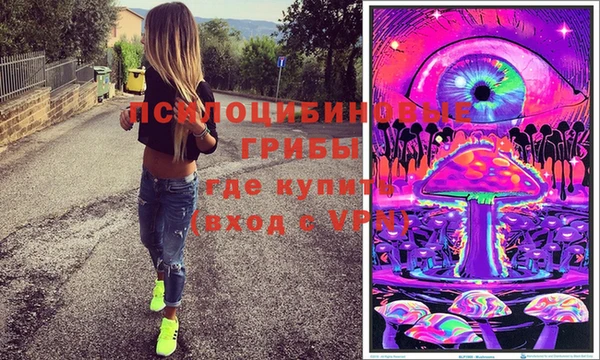 ГАЛЛЮЦИНОГЕННЫЕ ГРИБЫ Новодвинск