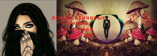 спайс Нея