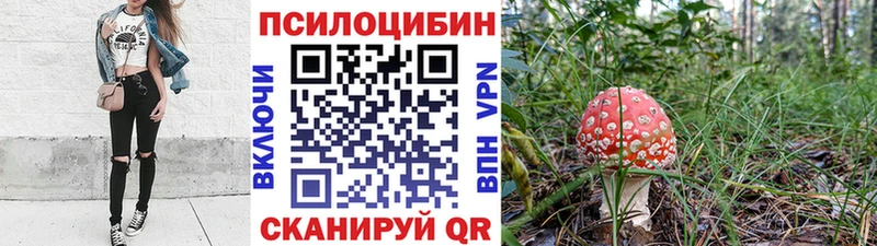 Галлюциногенные грибы Cubensis  Серафимович 